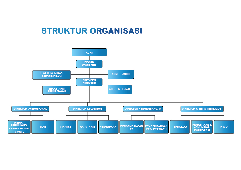 Struktur Perusahaan