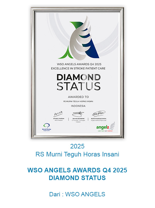 Penghargaan WSO Angels Excellence in Stroke Patient Care 2025 Murni Teguh Horas Insani